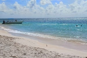Isla Saona Premium desde Punta Cana