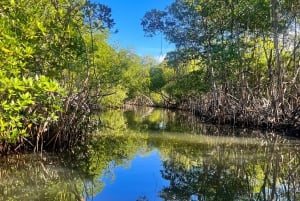 Private 4-Day Tour from Punta Cana/Bayahibe to Los Haitises