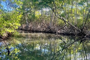 Private 4-Day Tour from Punta Cana/Bayahibe to Los Haitises