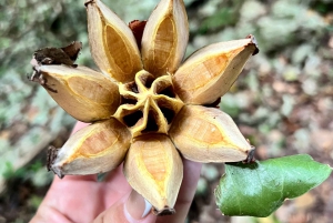 Private 4-Day Tour from Punta Cana/Bayahibe to Los Haitises