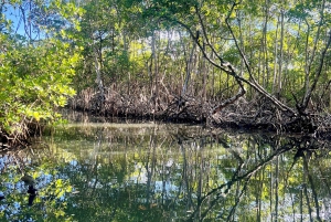 Private 4-Day Tour from Punta Cana/Bayahibe to Los Haitises