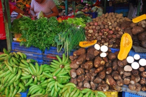 Private 8-days all-inclusive tour in the Dominican Republic