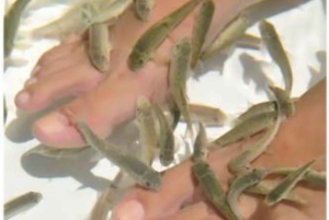 Private: Adults-Only Floating Ocean Spa with Massage & Yoga