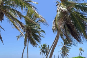Tour privati in quad a Punta Cana senza soste panoramiche
