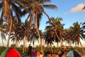 Tour privati in quad a Punta Cana senza soste panoramiche