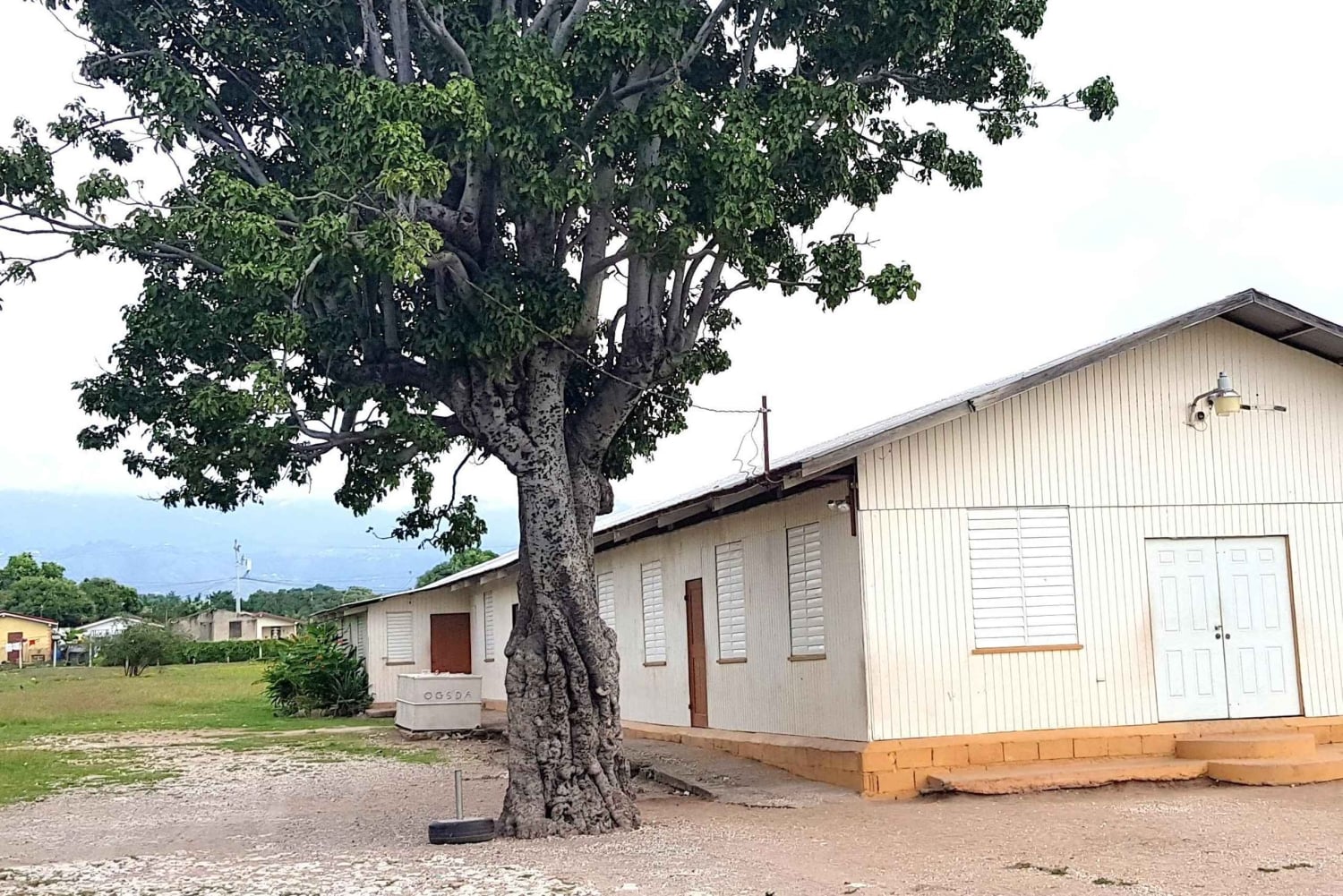 Private: Authentic Punta Cana Cultural Immersion Market Trip