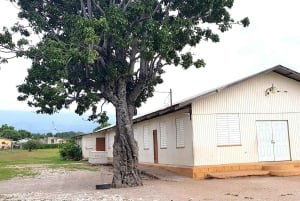 Private: Authentic Punta Cana Cultural Immersion Market Trip