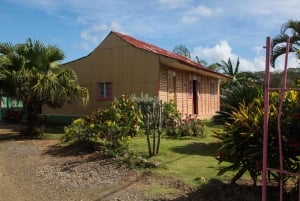 Private: Authentic Punta Cana Cultural Immersion Market Trip