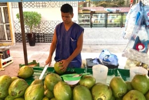 Private: Authentic Punta Cana Cultural Immersion Market Trip