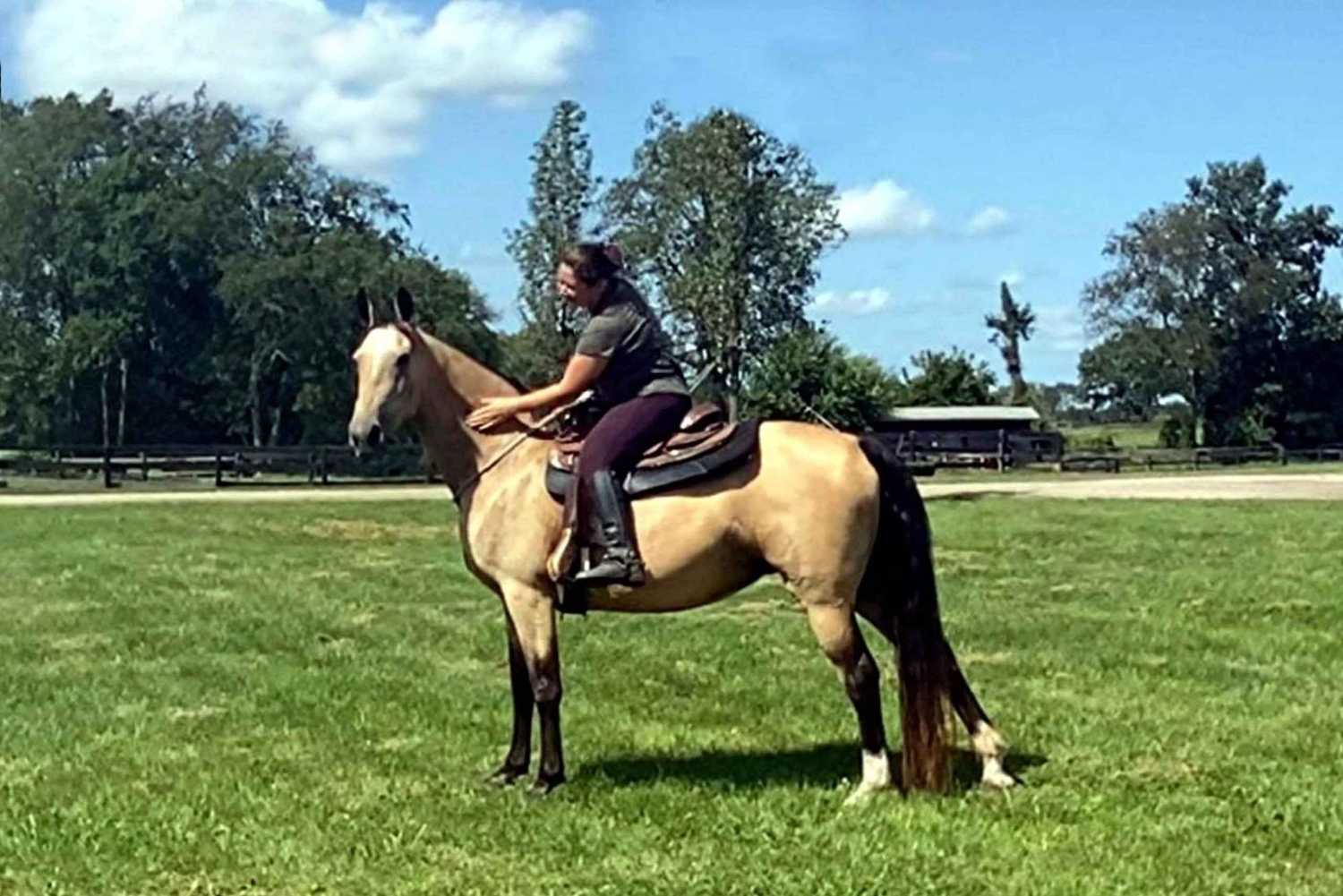 Yksityinen: Bavaro Adventure Park, täysi pääsy, lounas