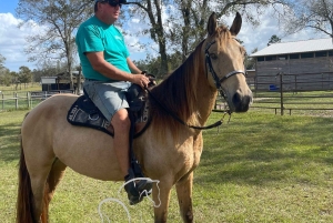 Yksityinen: Bavaro Adventure Park, täysi pääsy, lounas