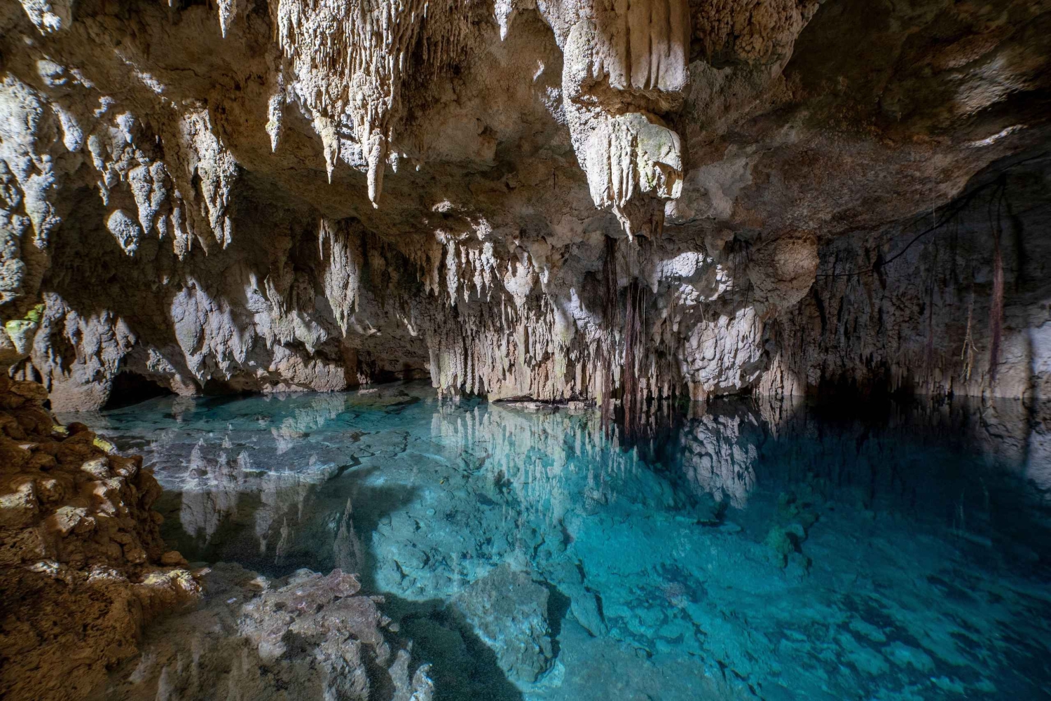 Private: Bayahibe: Jungle Walk and Cenote Snorkeling Tour