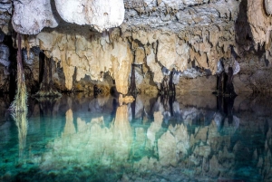 Private: Bayahibe: Jungle Walk and Cenote Snorkeling Tour