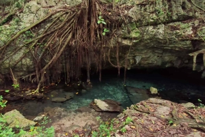 Private: Bayahibe: Jungle Walk and Cenote Snorkeling Tour