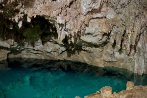 Private: Bayahibe: Jungle Walk and Cenote Snorkeling Tour