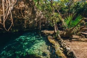 Private: Bayahibe: Jungle Walk and Cenote Snorkeling Tour