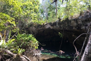 Private: Bayahibe: Jungle Walk and Cenote Snorkeling Tour