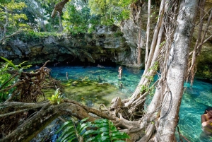 Private: Bayahibe: Jungle Walk and Cenote Snorkeling Tour