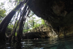 Private: Bayahibe: Jungle Walk and Cenote Snorkeling Tour