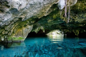 Private: Bayahibe: Jungle Walk and Cenote Snorkeling Tour