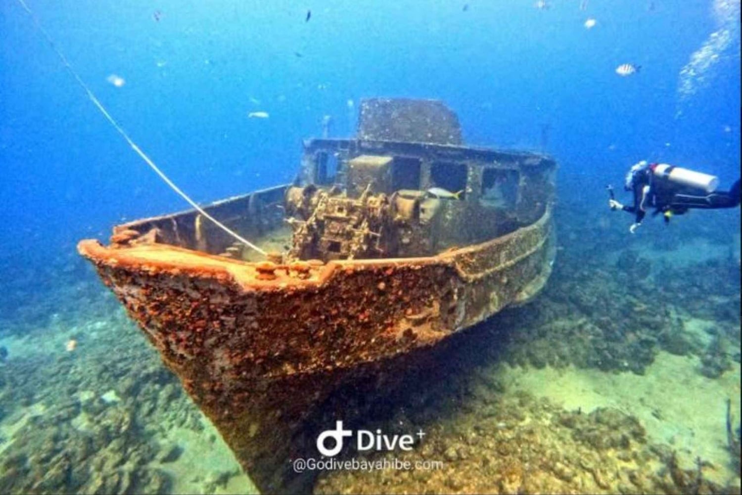 Частный тур в Баяибе: сноркелинг, обед и сенот