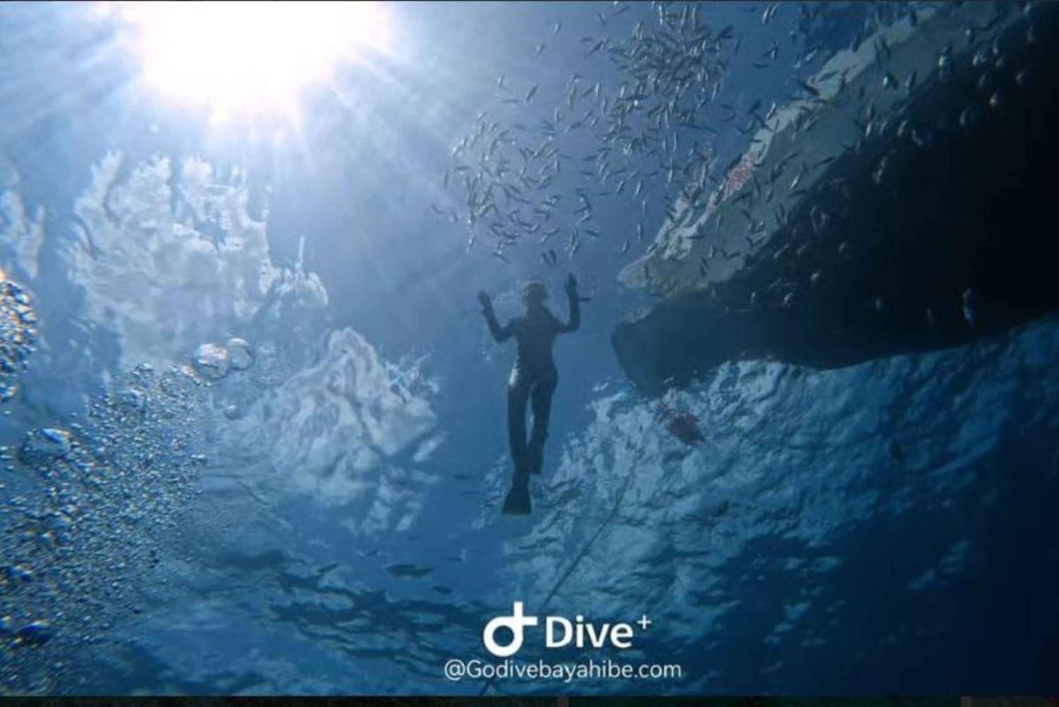 Частный тур в Баяибе: сноркелинг, обед и сенот