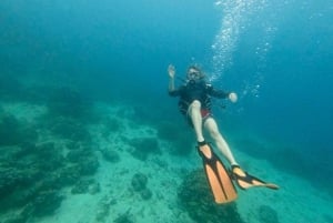 Private: Beginner Scuba Dive in Bávaro: 30-Minute Reef Dive