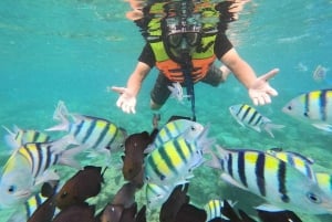 Private: Beginner Scuba Dive in Bávaro: 30-Minute Reef Dive