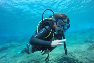 Private: Beginner Scuba Dive in Bávaro: 30-Minute Reef Dive