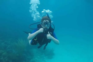 Private: Beginner Scuba Dive in Bávaro: 30-Minute Reef Dive