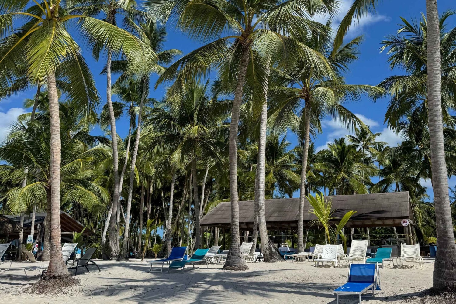 Private: Boca Chica to Saona Island Full-Day Cruise