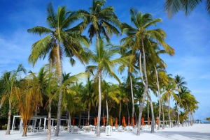 Private: Boca Chica to Saona Island Full-Day Cruise