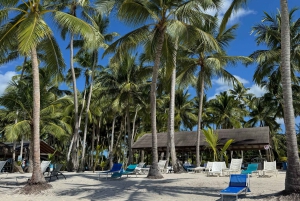 Private: Boca Chica to Saona Island Full-Day Cruise