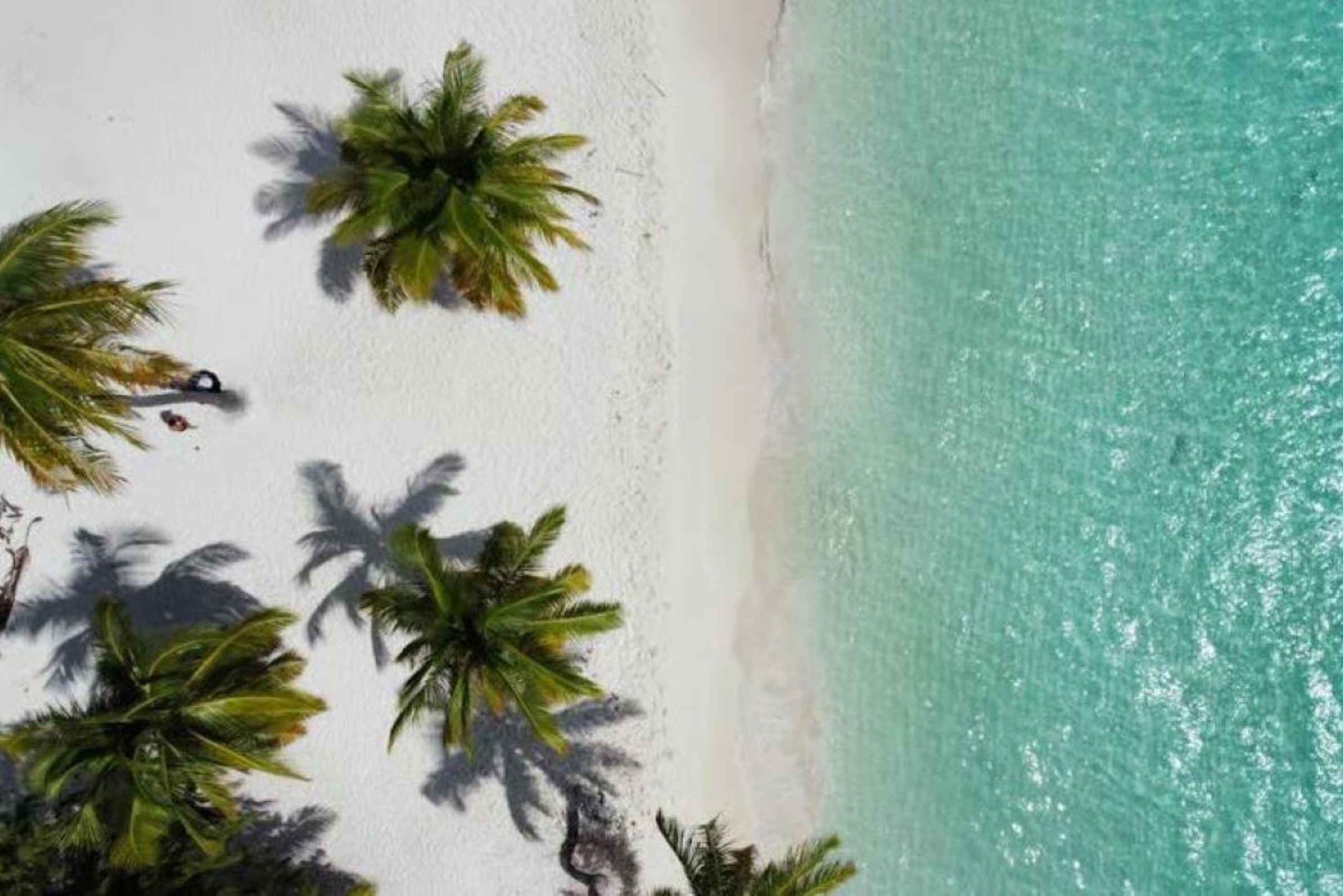 Private Buggy Safari Sugar Plantation & Chavón River Journey