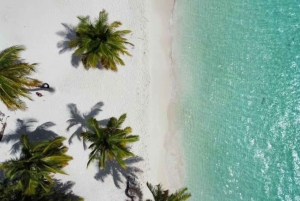 Private Buggy Safari Sugar Plantation & Chavón River Journey