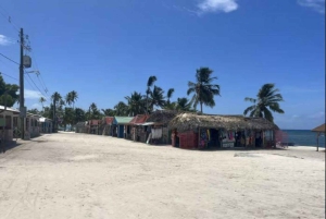 Private Buggy Safari Sugar Plantation & Chavón River Journey