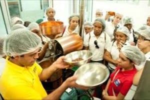 Tour privato: visita una piantagione di cacao con pranzo e degustazione