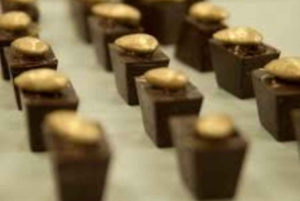 Private: Cacao Plantation Tour with Lunch & Tasting