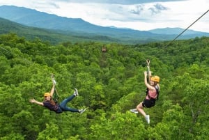 Yksityinen: Canopy Zip-Line -seikkailu Punta Canassa