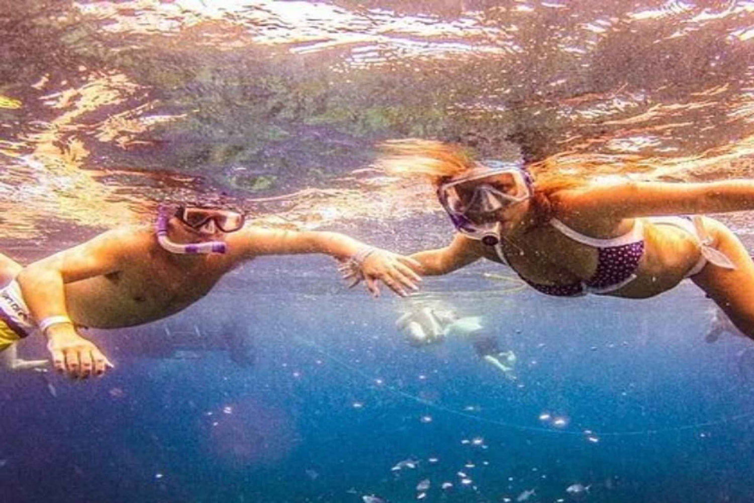 Private: Catalina Island Diving Tour with Lunch