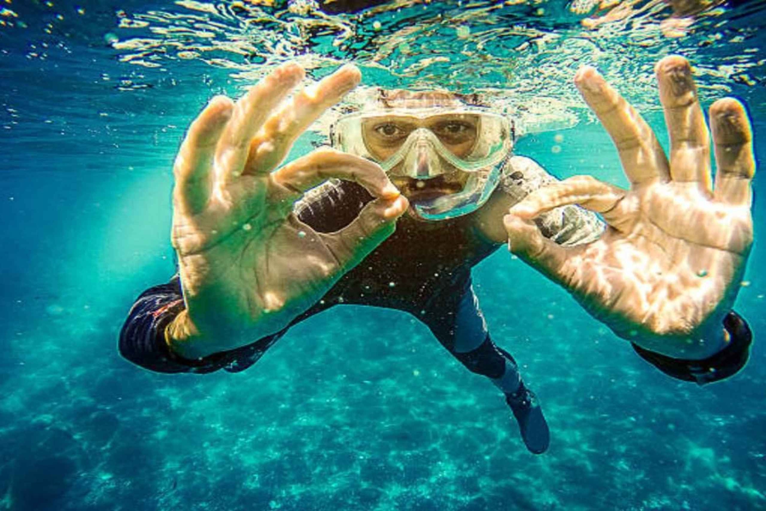 Private: Catalina Island Diving Tour with Lunch