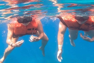 Private: Catalina Island Diving Tour with Lunch