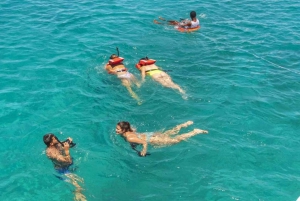 Private: Catalina Island Diving Tour with Lunch