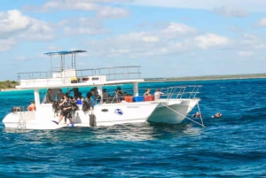 Private: Catalina Island Diving Tour with Lunch