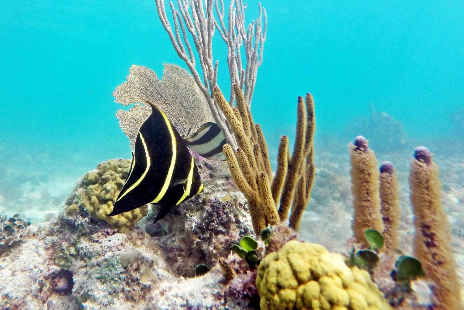 Private Catalina Island Snorkel & Beach Day from Punta Cana