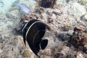プンタカナからカタリナ島へのプライベート・シュノーケリング＆ビーチ体験