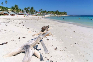 Private Catalina Island Snorkel & Beach Day from Punta Cana