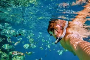 Private: Catalina Island Snorkel Dive Day Trip from Bayahibe
