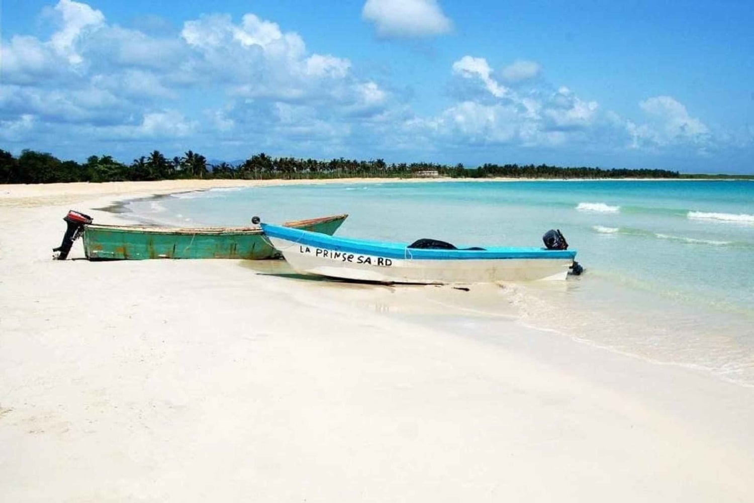 Private: Catalina Island Snorkeling & BBQ Boat Tour