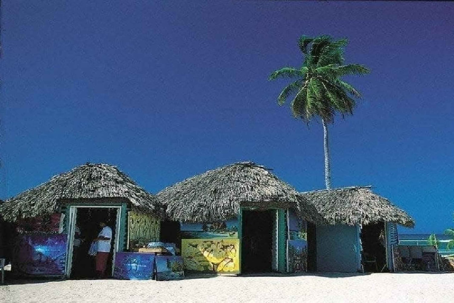 Private: Catalina Island Snorkeling & BBQ Boat Tour